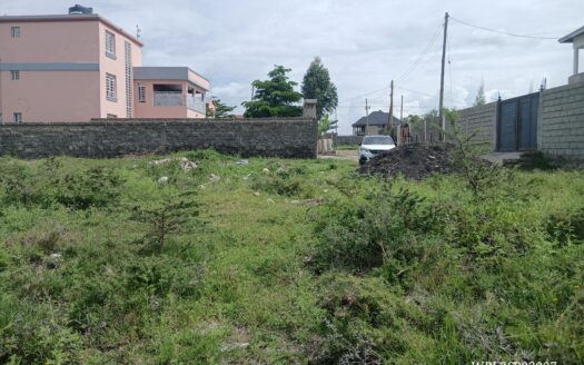 Prime ⅛ acre plot Syokimau Viraj area